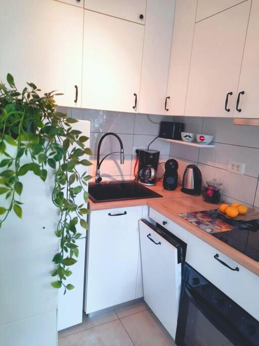 Apartman Nane Solin Exterior foto